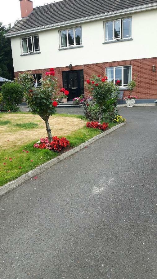 Scapaflow B&B O'Briensbridge Eksteriør billede